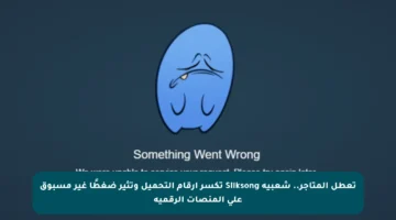 تعطل المتاجر.. شعبية Silksong تكسر أرقام التحميل وتثير ضغطًا غير مسبوق على المنصات الرقمية